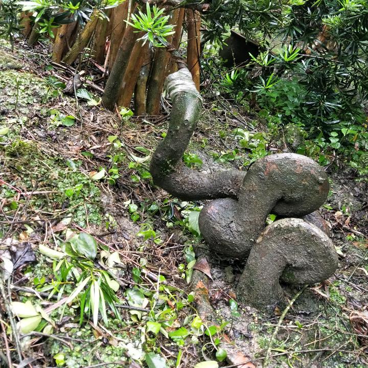 屏山宏家花卉