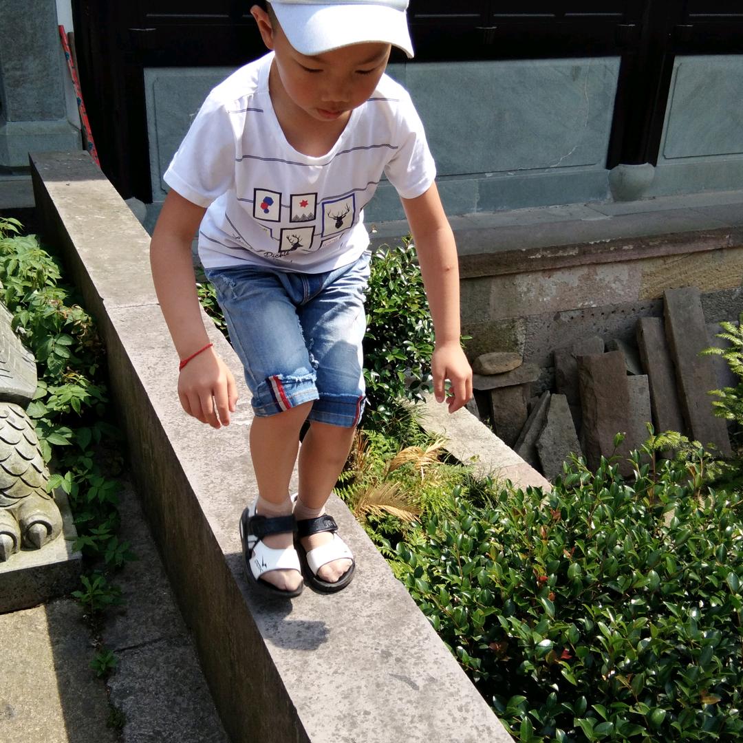 清晨的阳光🌅🌴