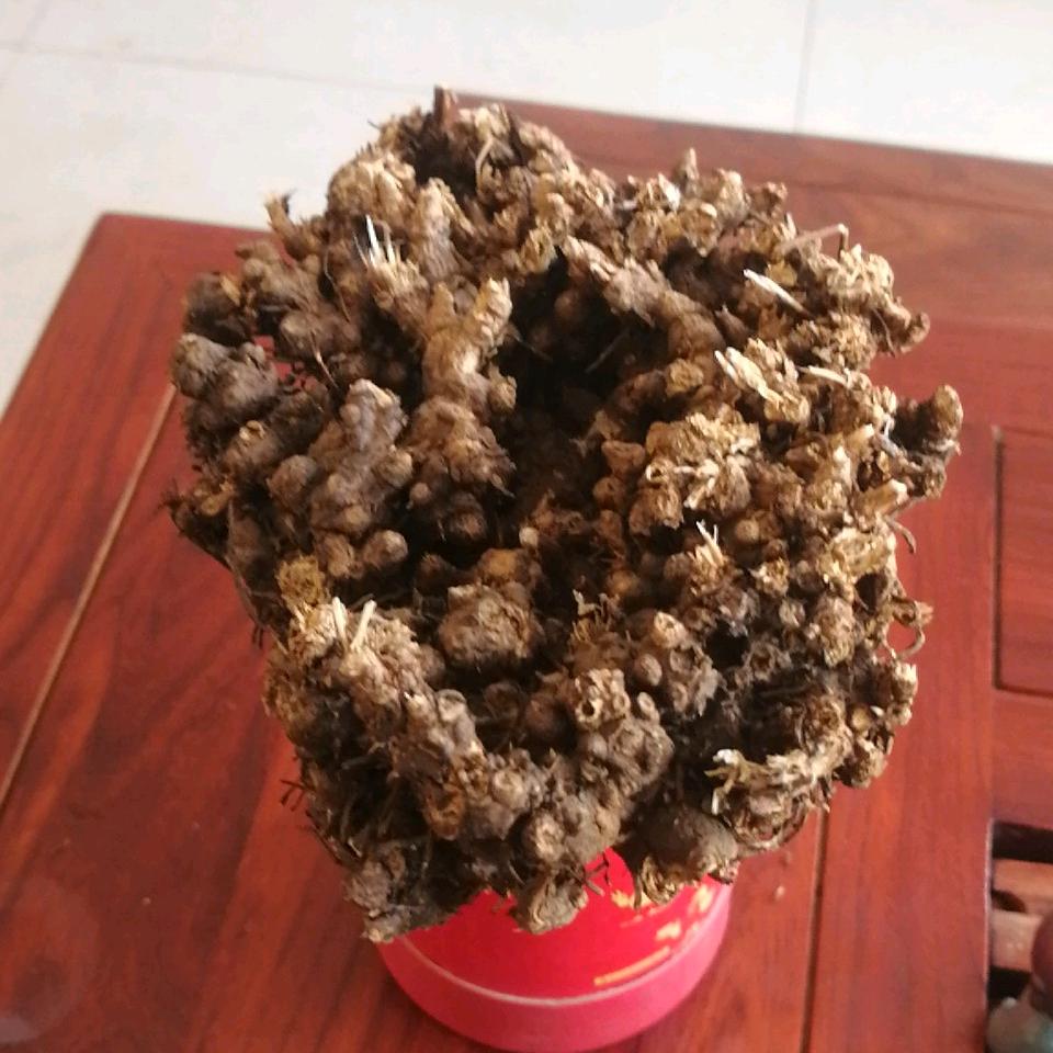 秋日的海风