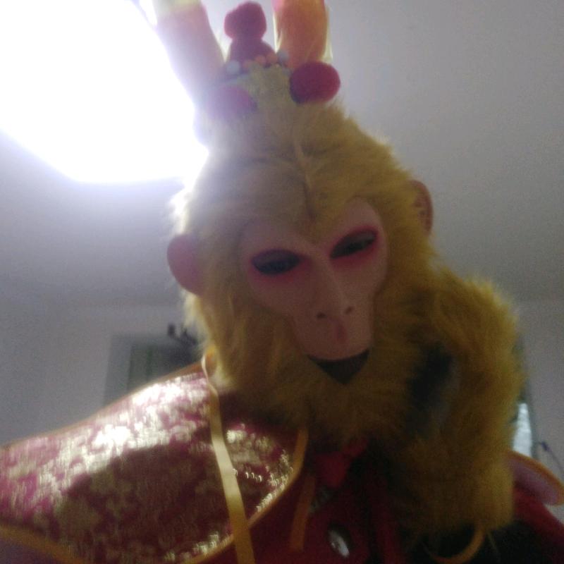 猴哥