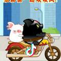 Y且行且珍惜