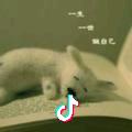 等风来