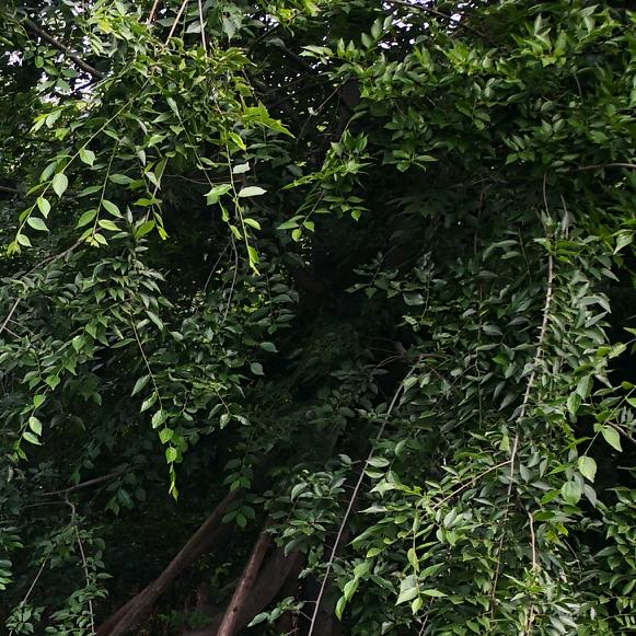 漯河金牌亚洲瓷砖