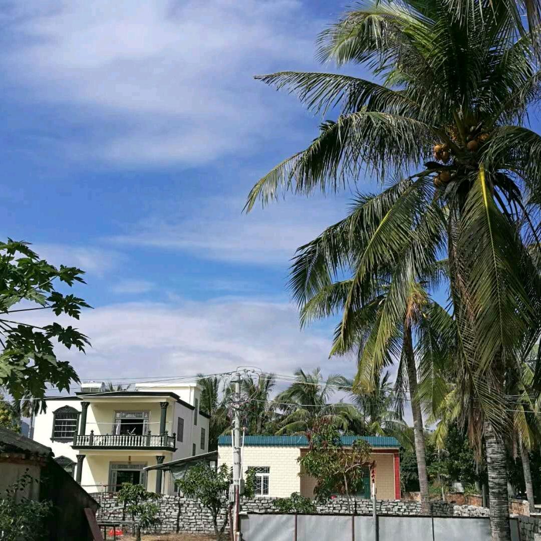m一帆风顺m