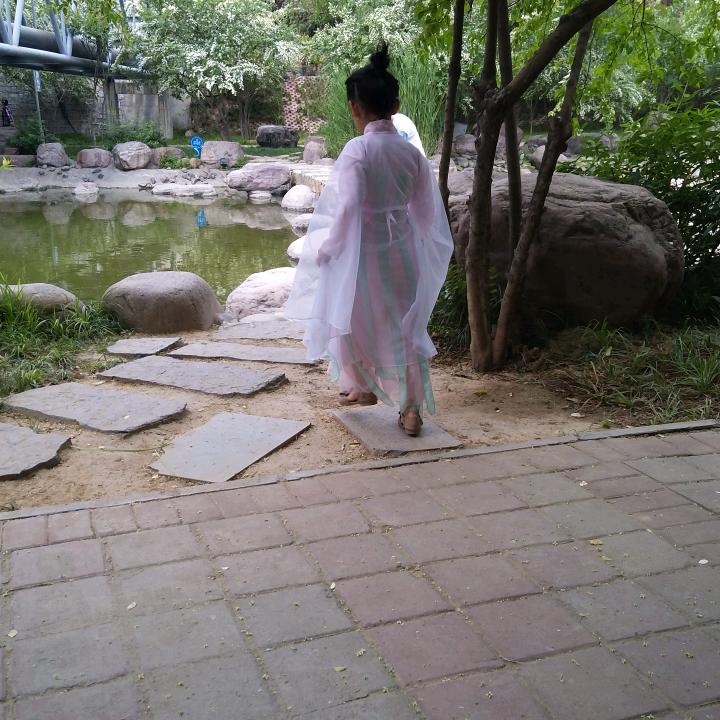 叶淡暗香来（玉竹）