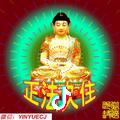 元芳你怎么看123