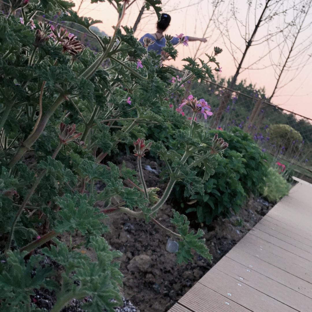 溧阳悠然岕客栈