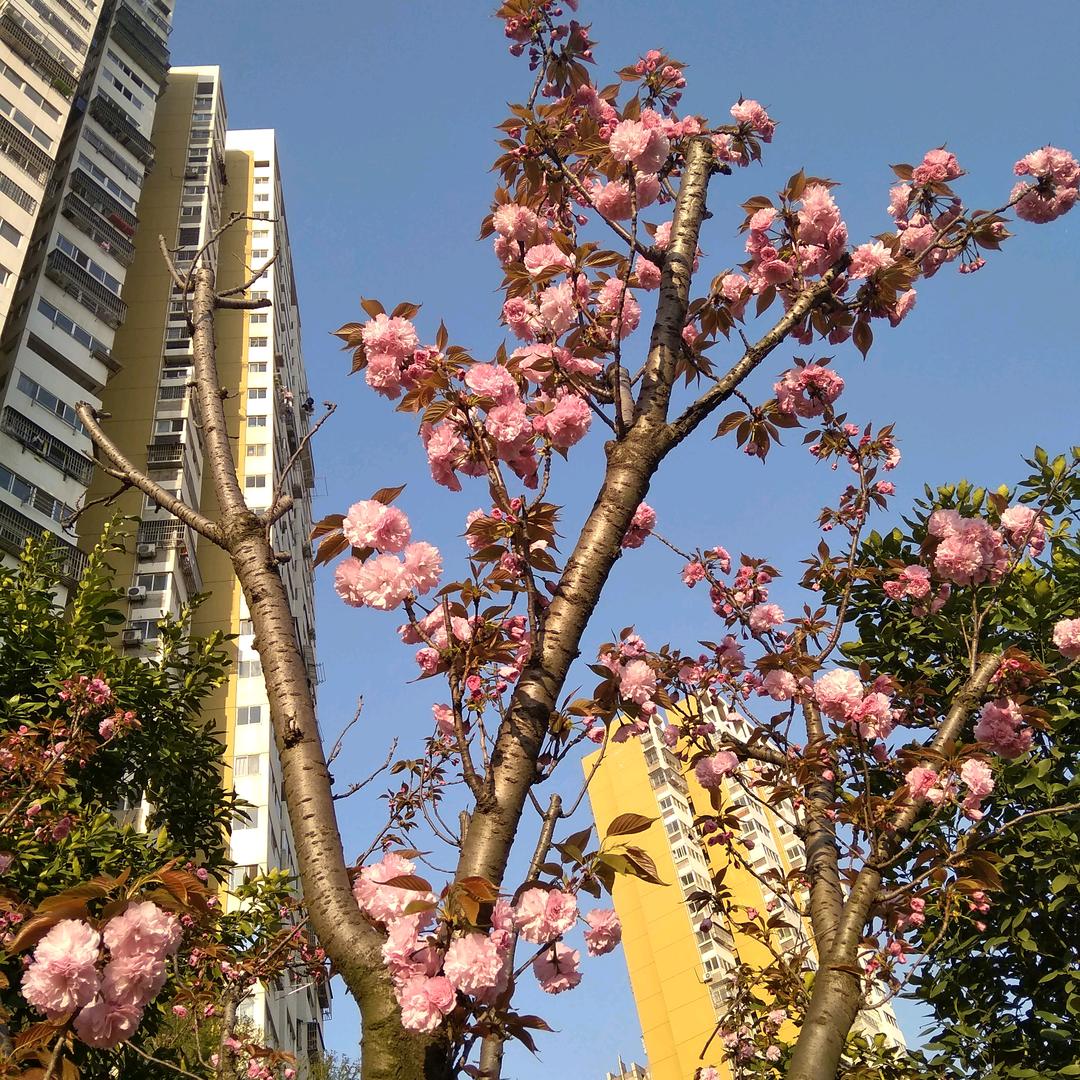 性格改变