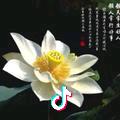 你好