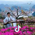 蝶花之恋