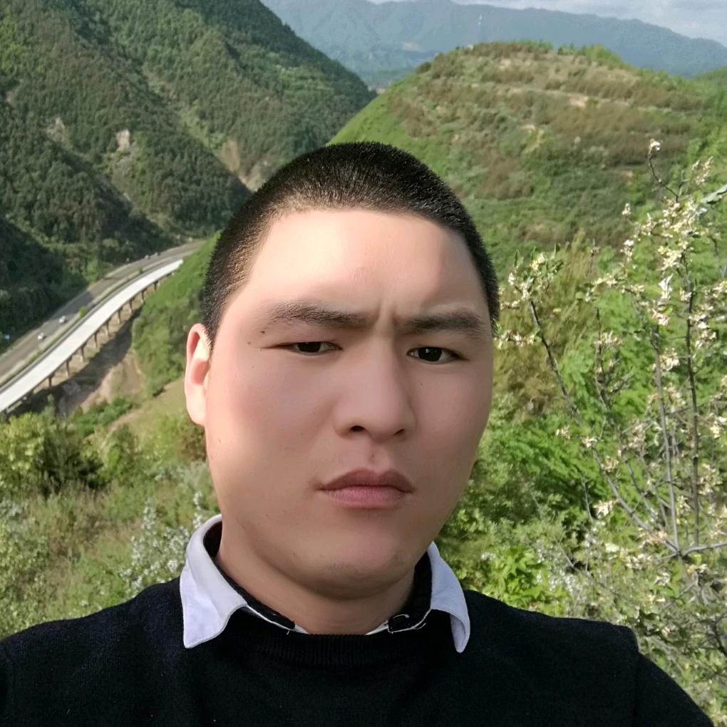 勇敢的.心