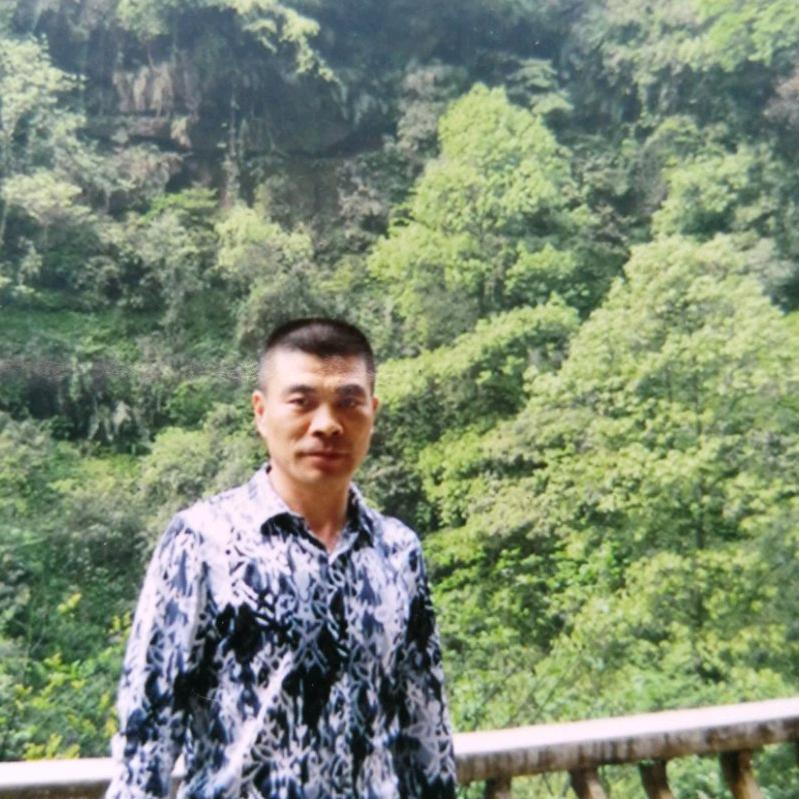 罗军：紫薇古桩花园