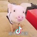 龙效风机