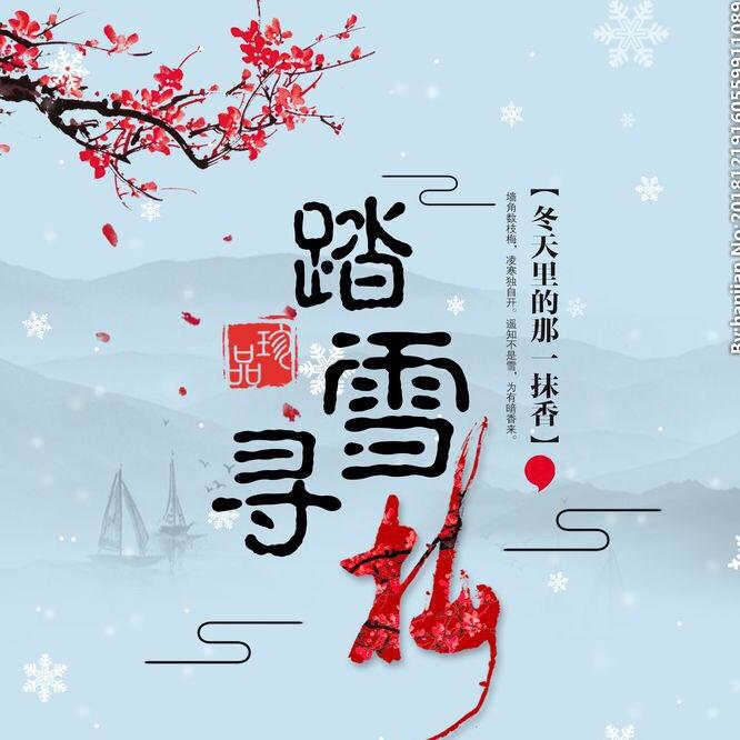 踏雪寻梅（拒私聊）