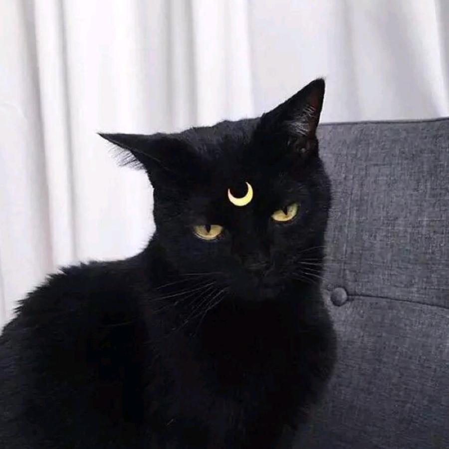 猴子小可爱🐒