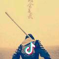 阳