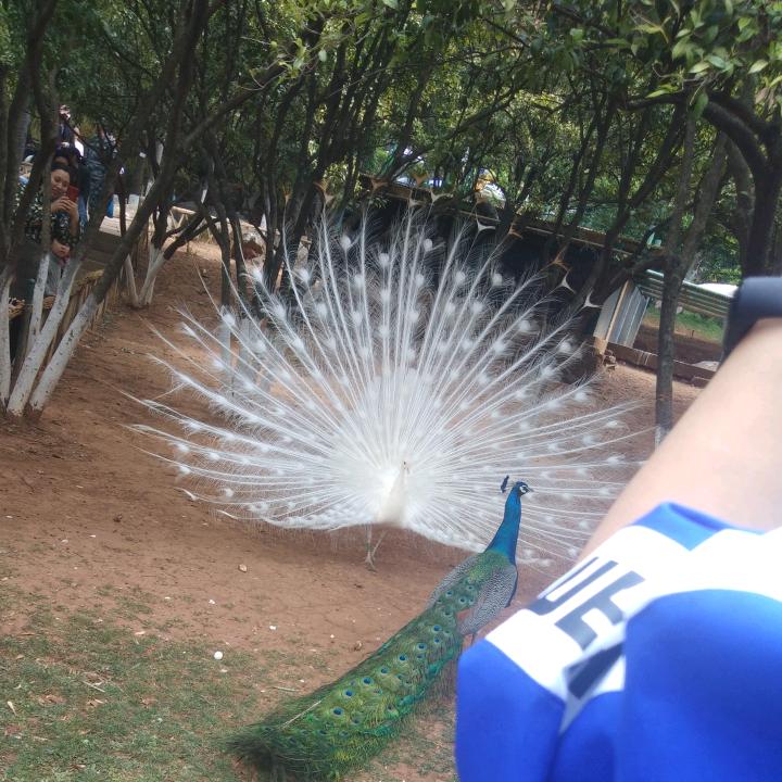 落寞