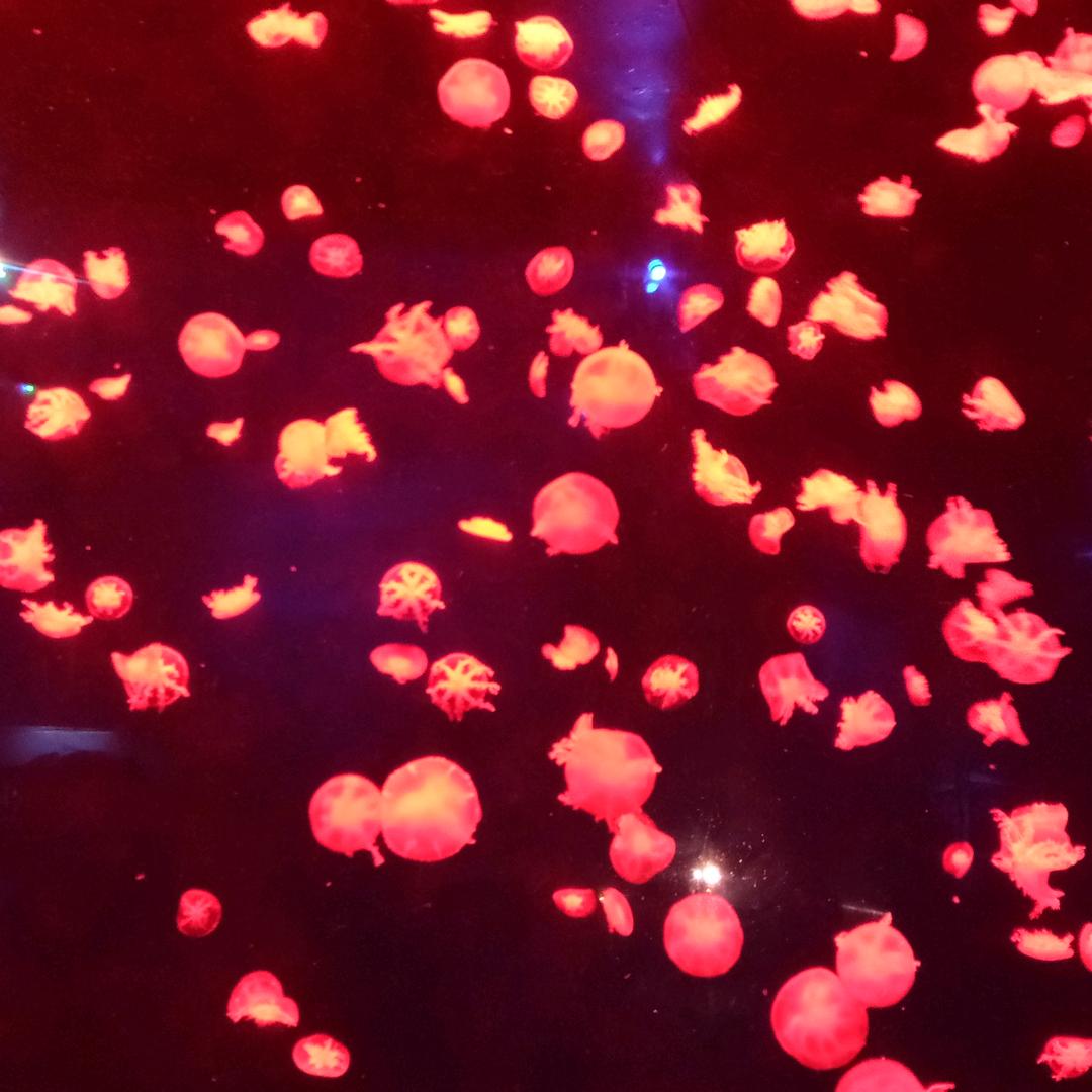 行云同心
