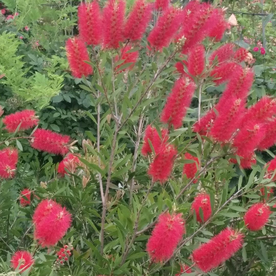 ໑ຼₒ₂5ღ萌朱᭄荷唐💘ོ࿐ᩚ