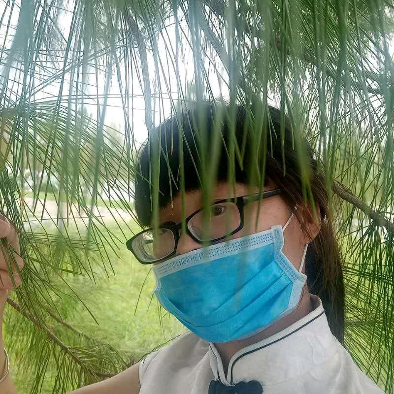 王丫丫