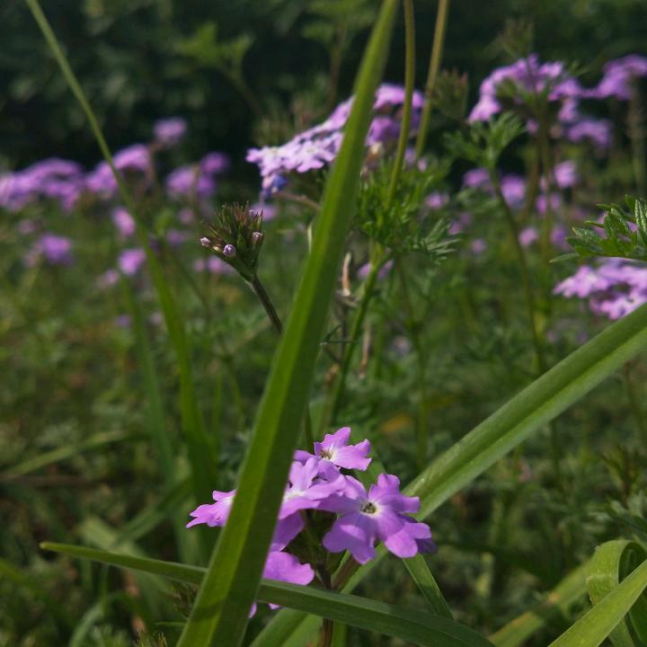 包容