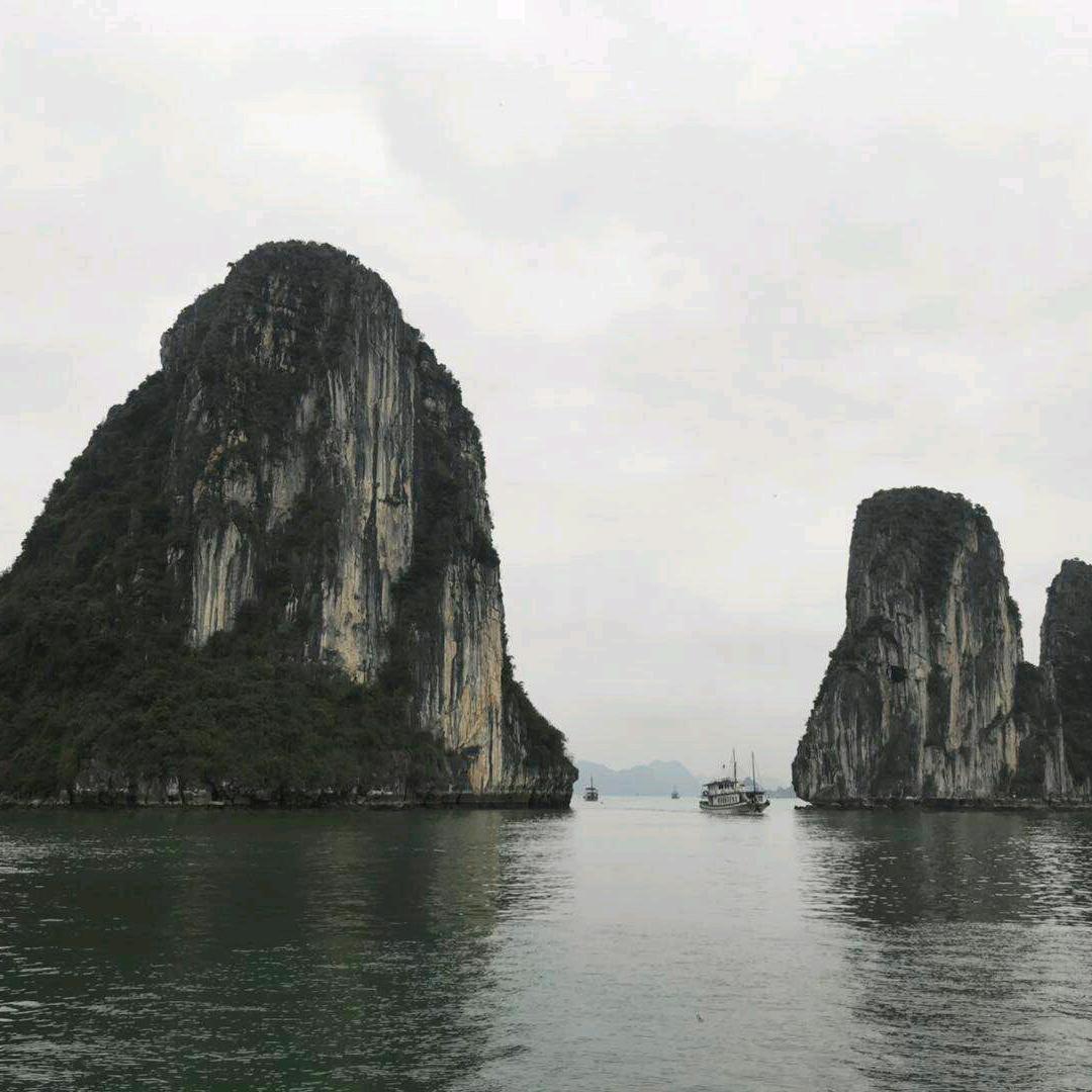 京东家电(福万通大楼店)专用号