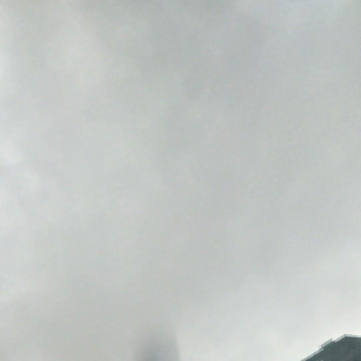 孤单霸王