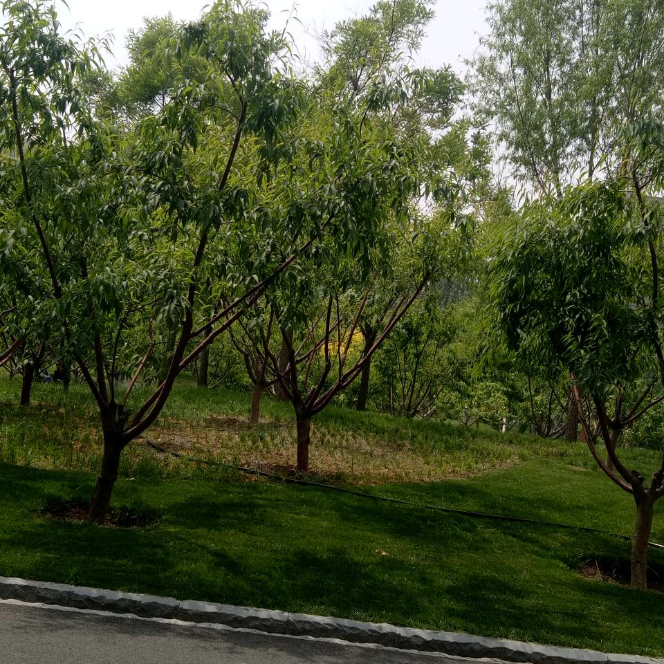 阳光总在风雨后