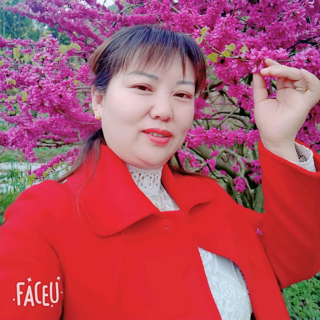 霞姐姐