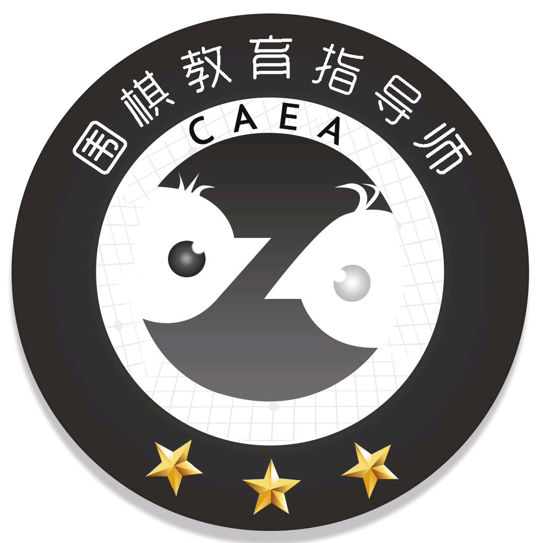 高级围棋教育指导师