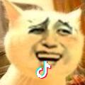 夜猫子