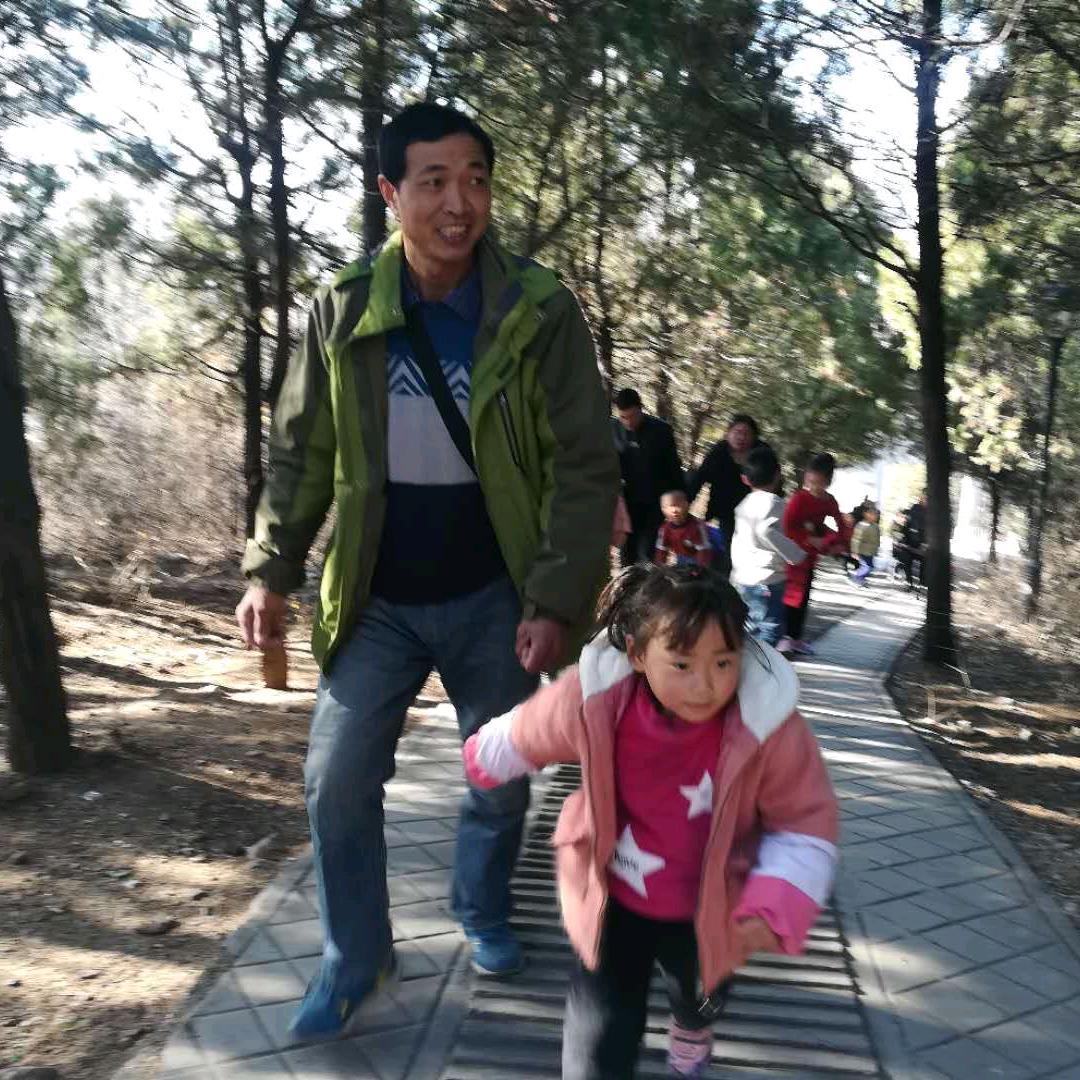 桥大树，六九鸡