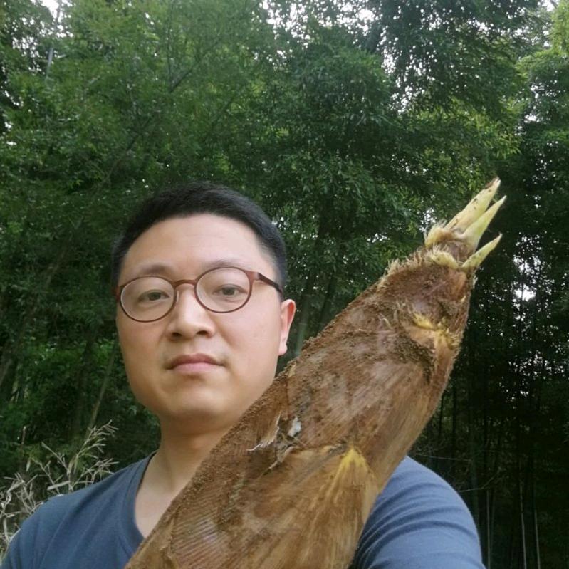南山朱哥