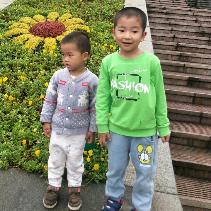 风信子