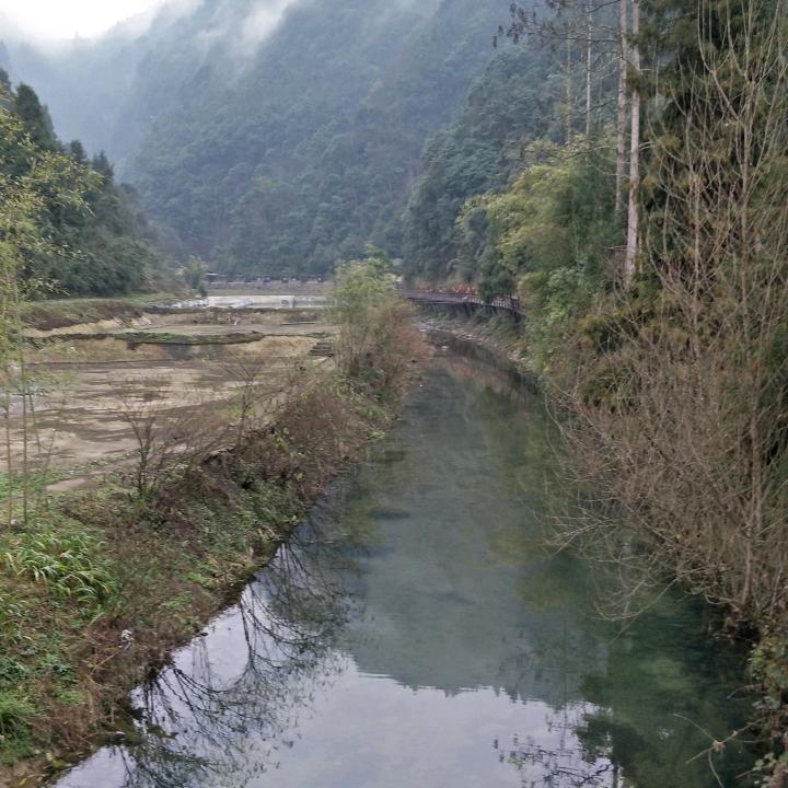 用户5754387179349。。