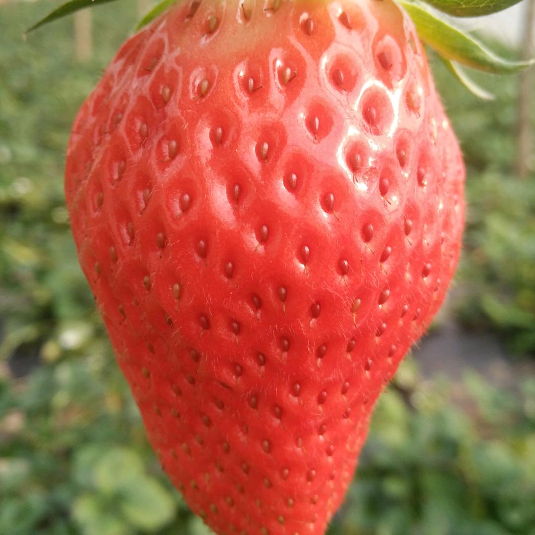 眼睛是心灵的窗口