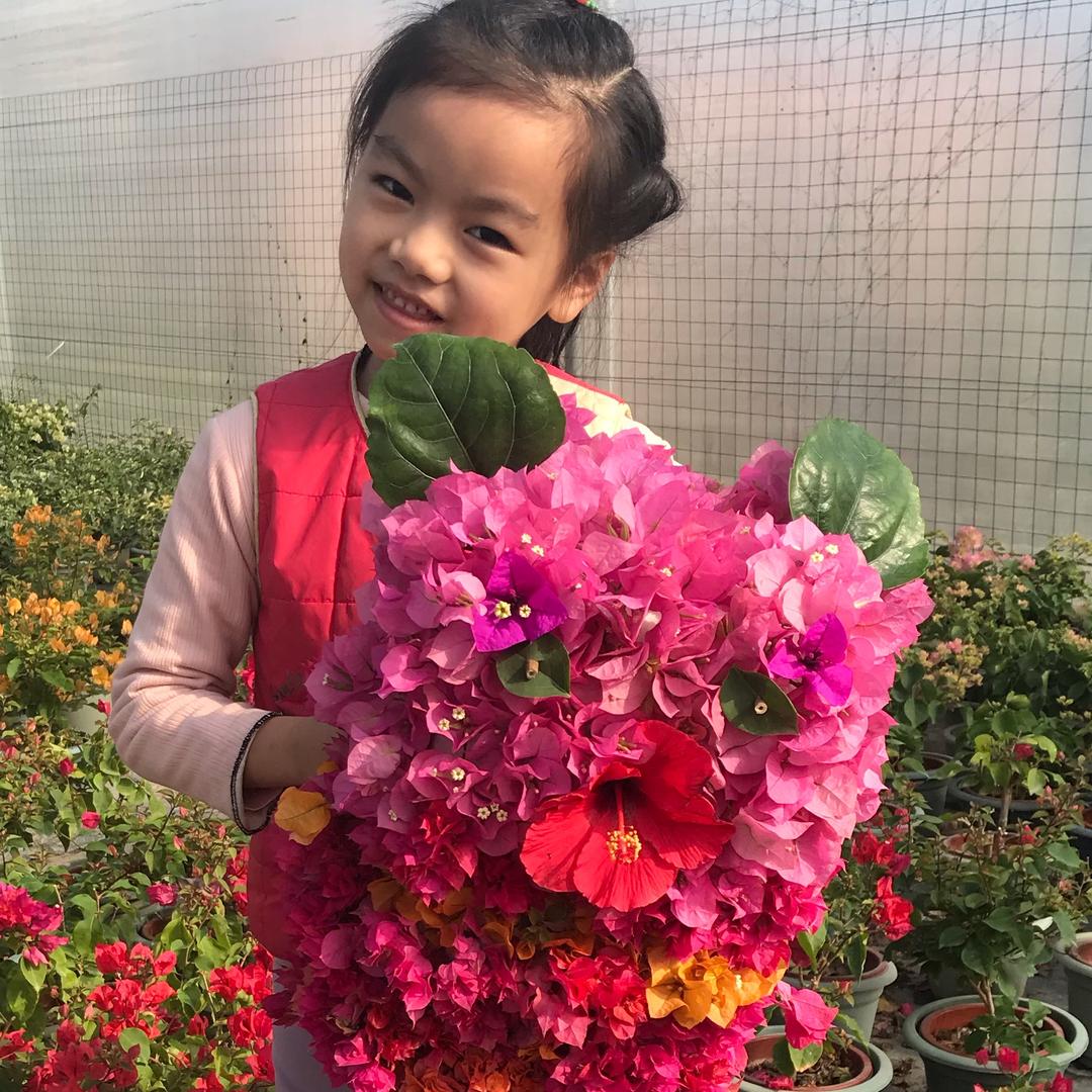 东篱小舍