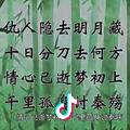 好人摆烂