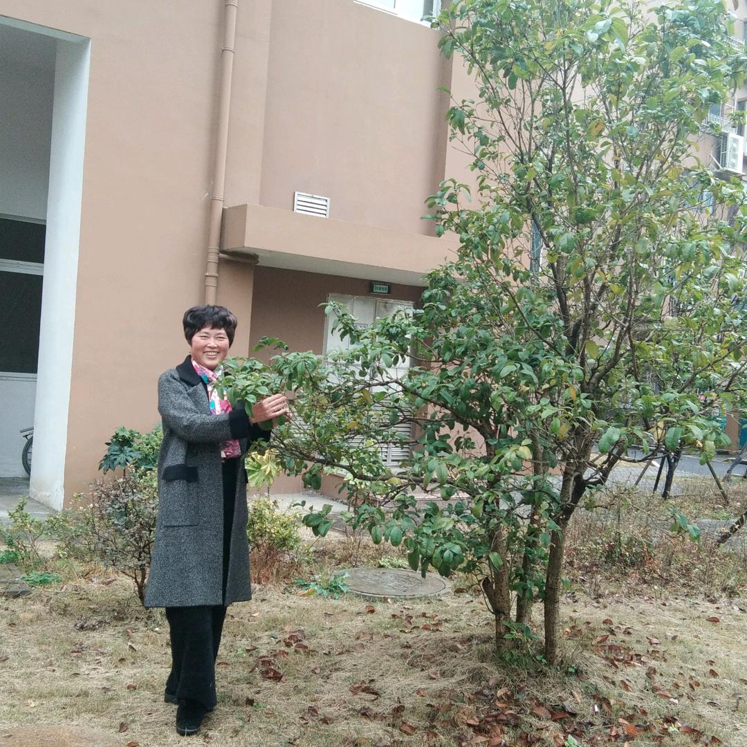 春暖花开