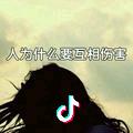 十一