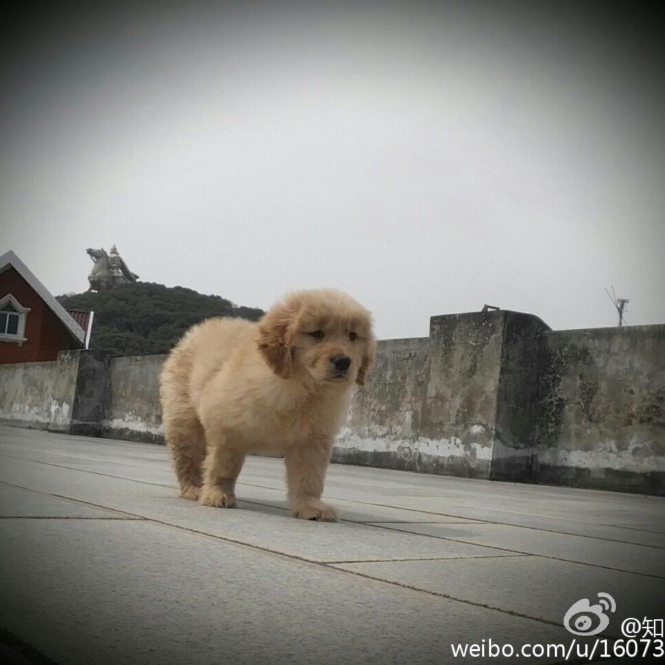 晓明哥哥哥哥