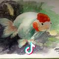 水彩张海画鱼🐳《艺海美术学校》