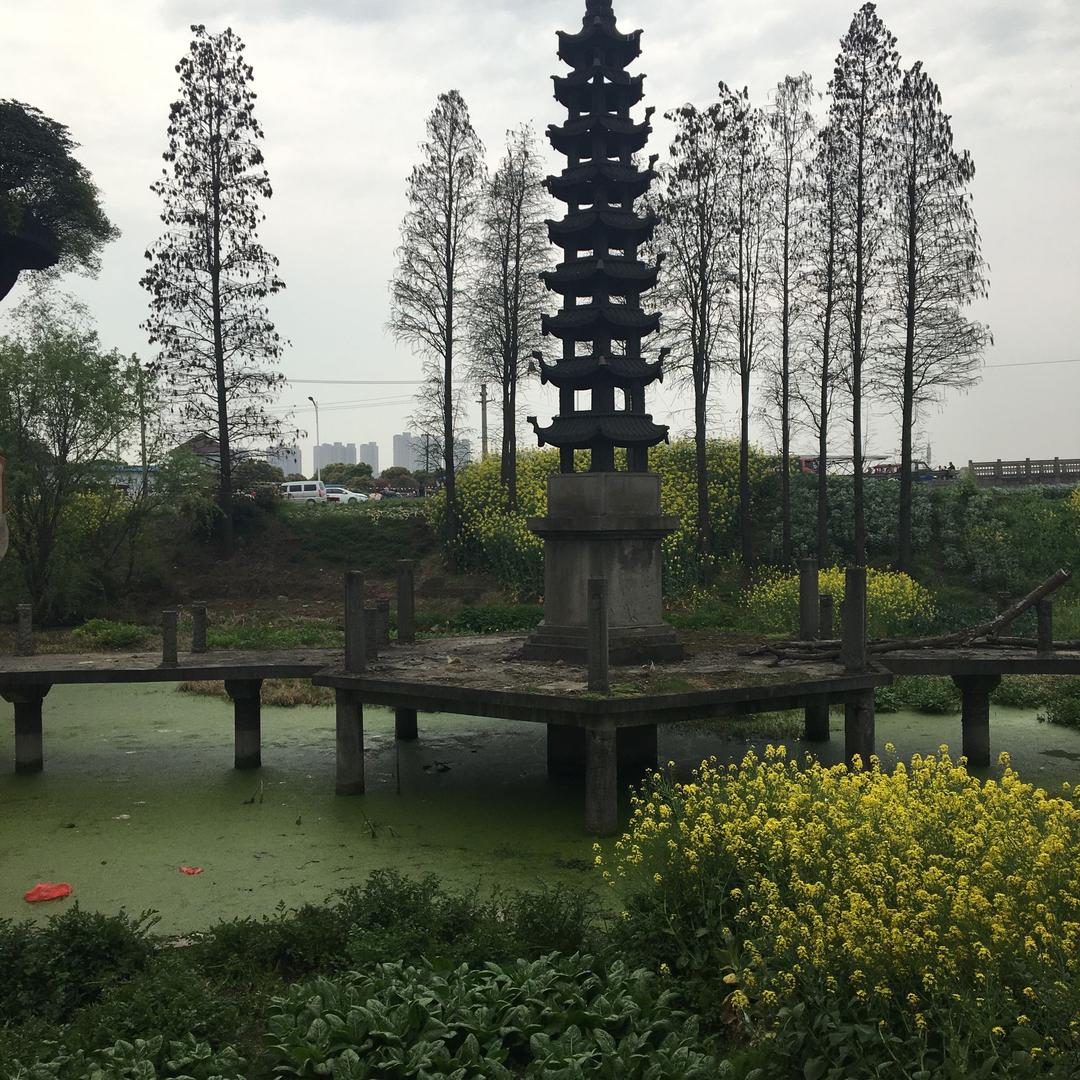 一只会飞的🐐羊