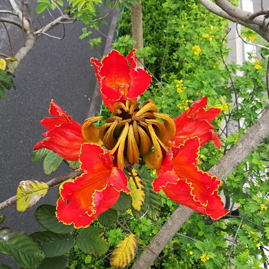 葡萄酒CIUM