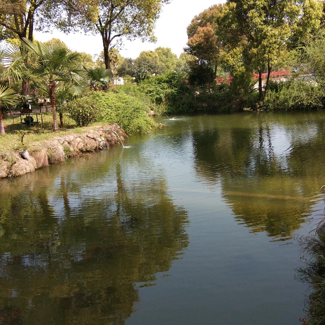 财米油盐