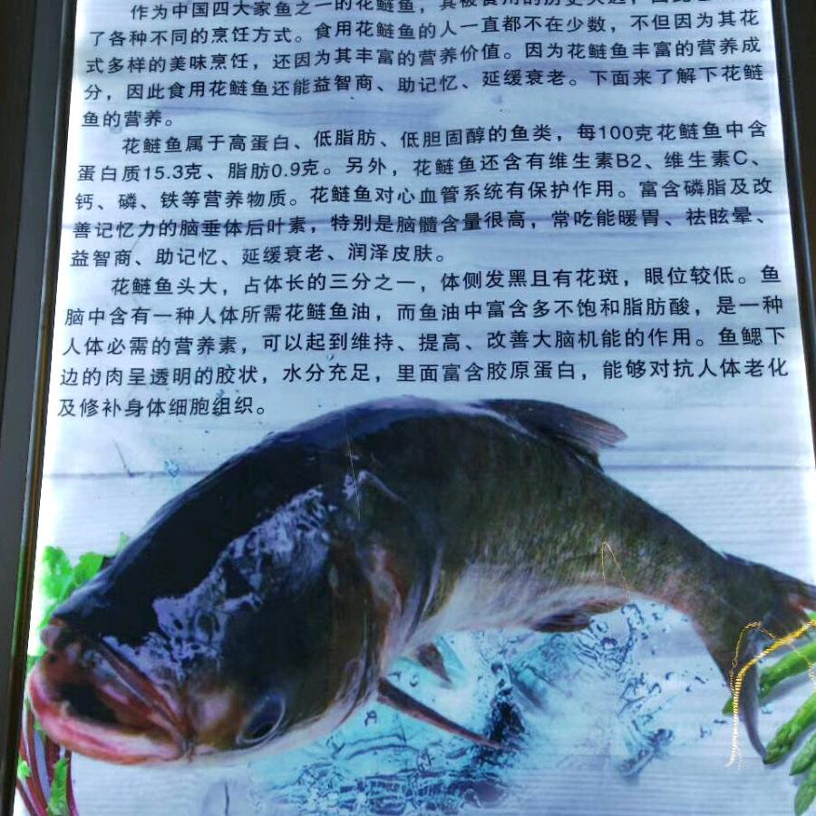 🌹开🌹心🌹哥🌹