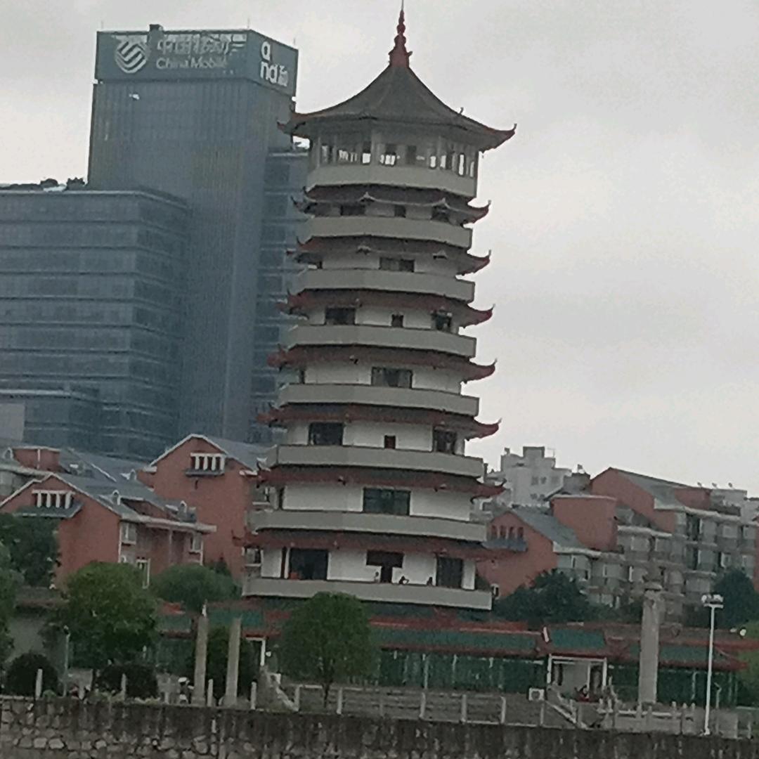 家有五宝