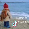 风平浪静