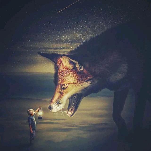 展豪
