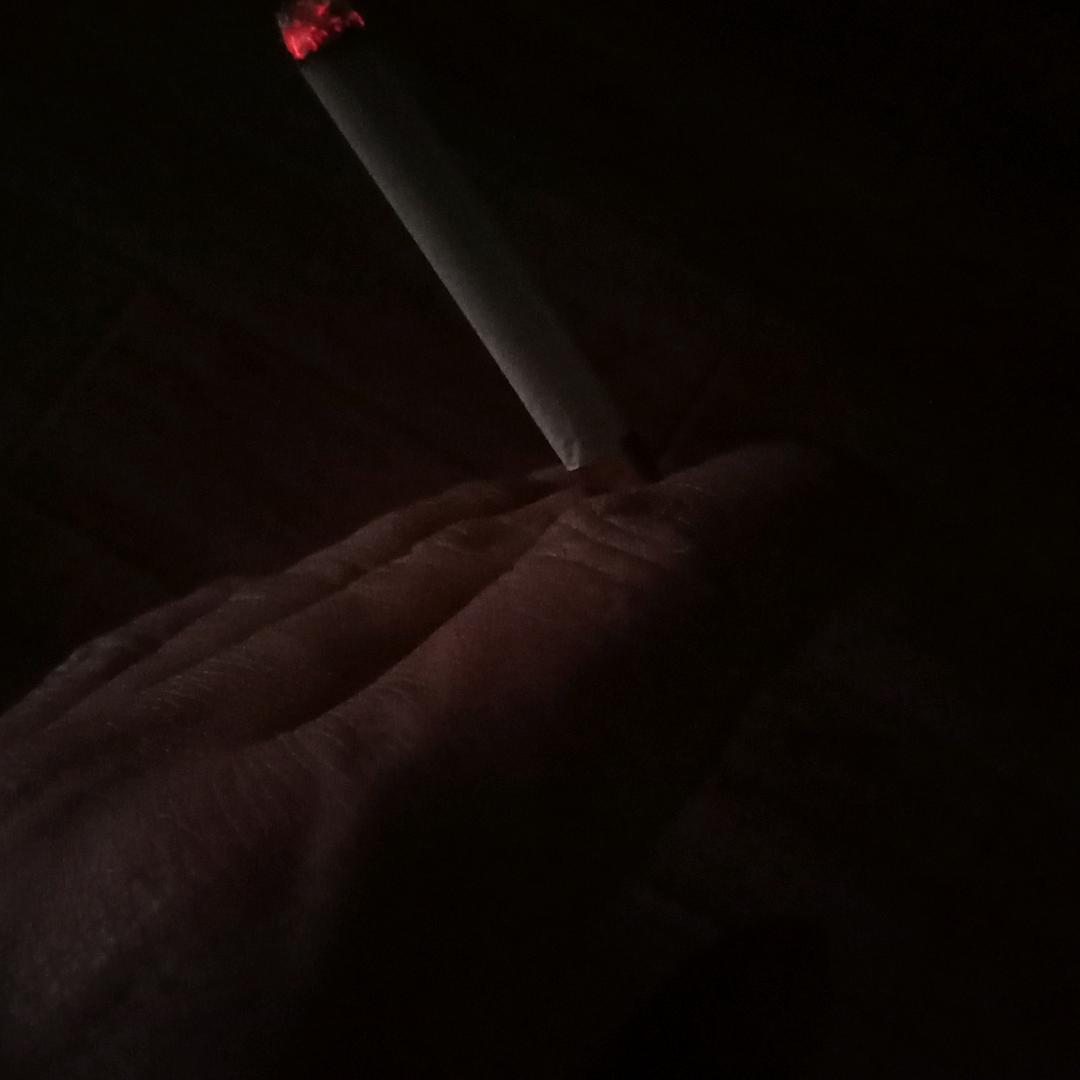 小鱼